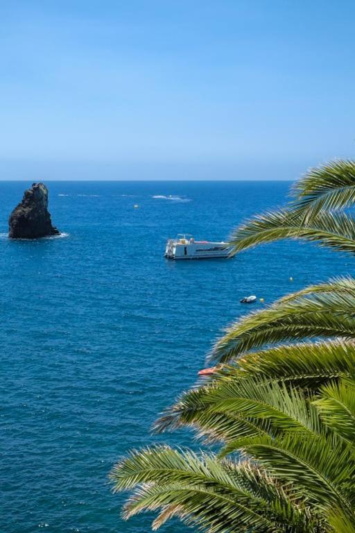 Guestready - A Sunny Delight In Funchal Daire Dış mekan fotoğraf